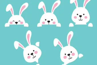 5 little white bunny heads on a teal background