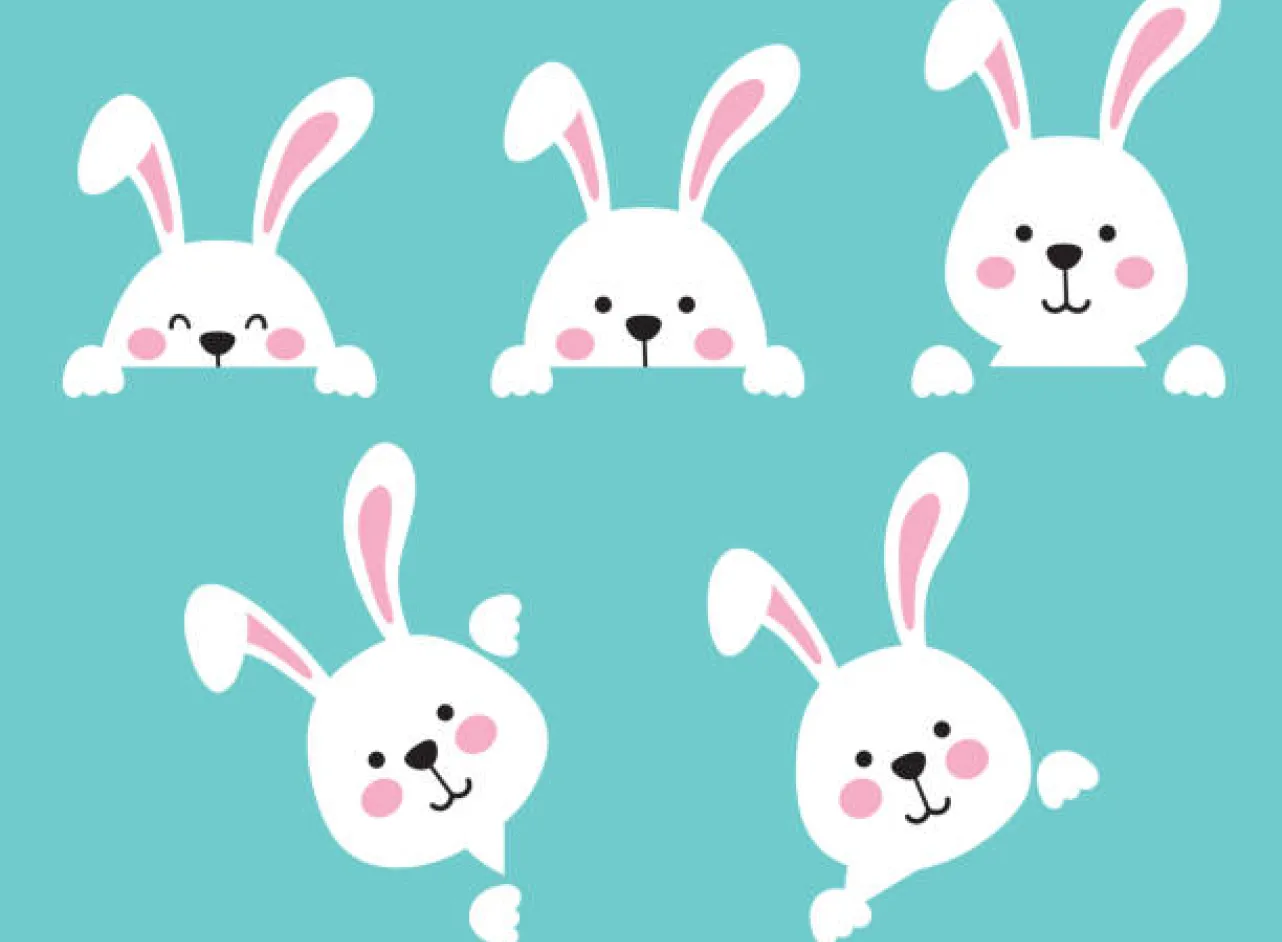 5 little white bunny heads on a teal background